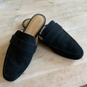 Splendid Black Mules